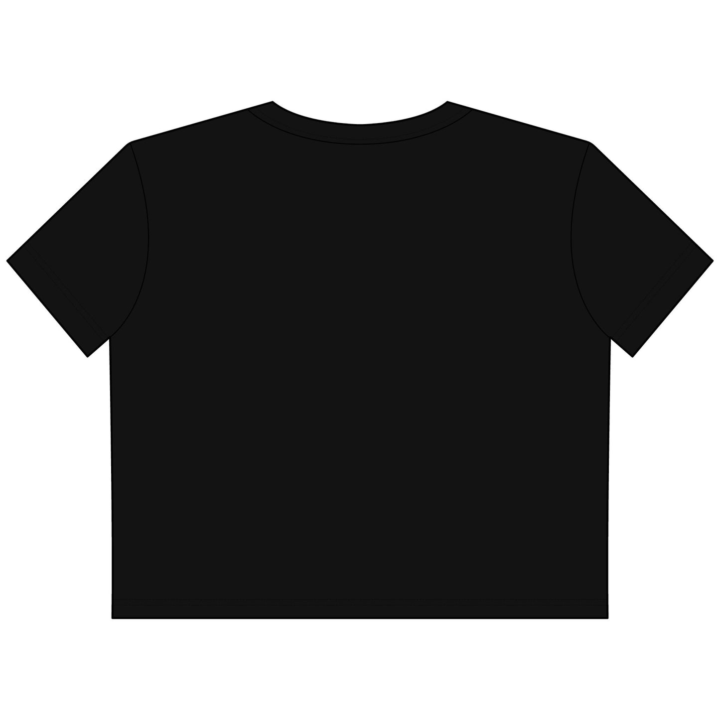 Peg the Patriarchy [Cropped Boxy Tee]