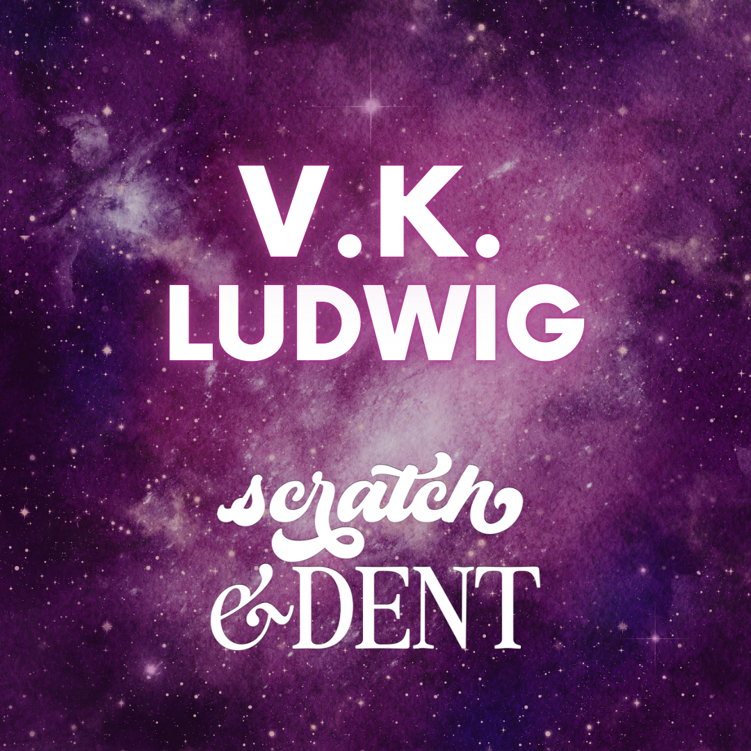 V.K. Ludwig: Stolen by the Warlord